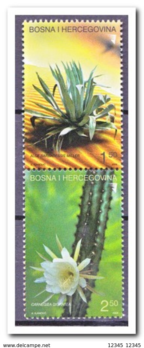 BosnIë Herzegovina 2004, Postfris MNH, Succulents - Bosnië En Herzegovina