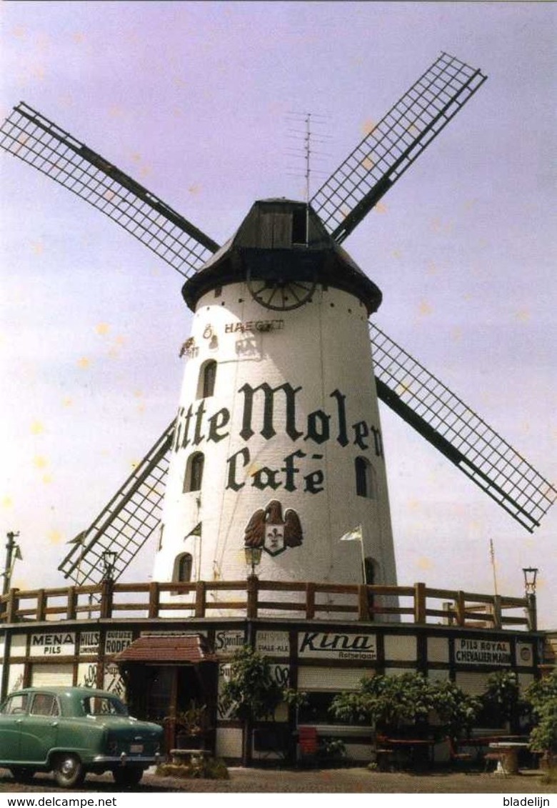 AARSCHOT (Vlaams-Brabant) - Molen/moulin - Historische Opname Van Café Witte Molen In 1957, Met Oldtimer - Aarschot