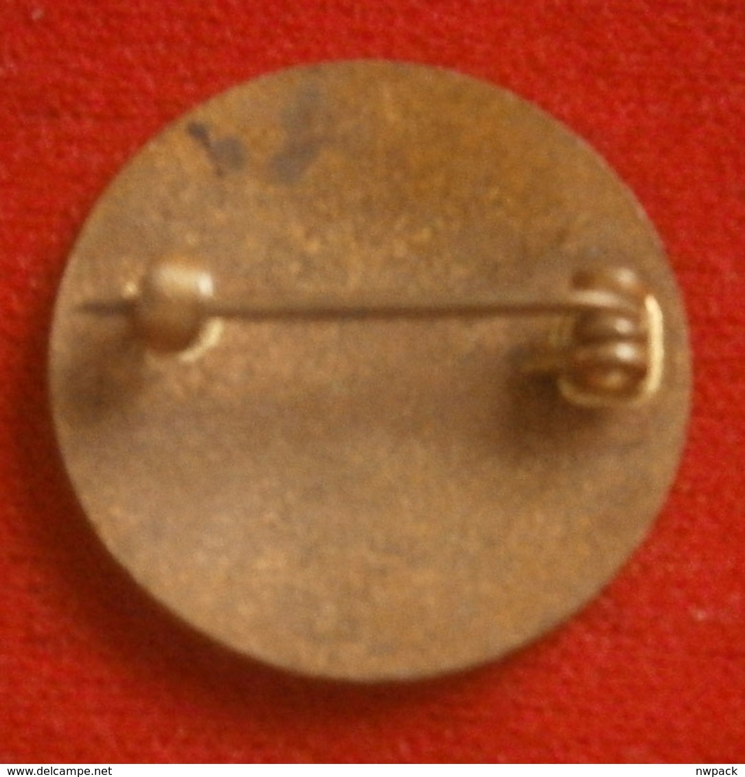 WWII, Slovakia,  Hlinkova Mladež - Enamel Badge, Pin, Brooch - Associations