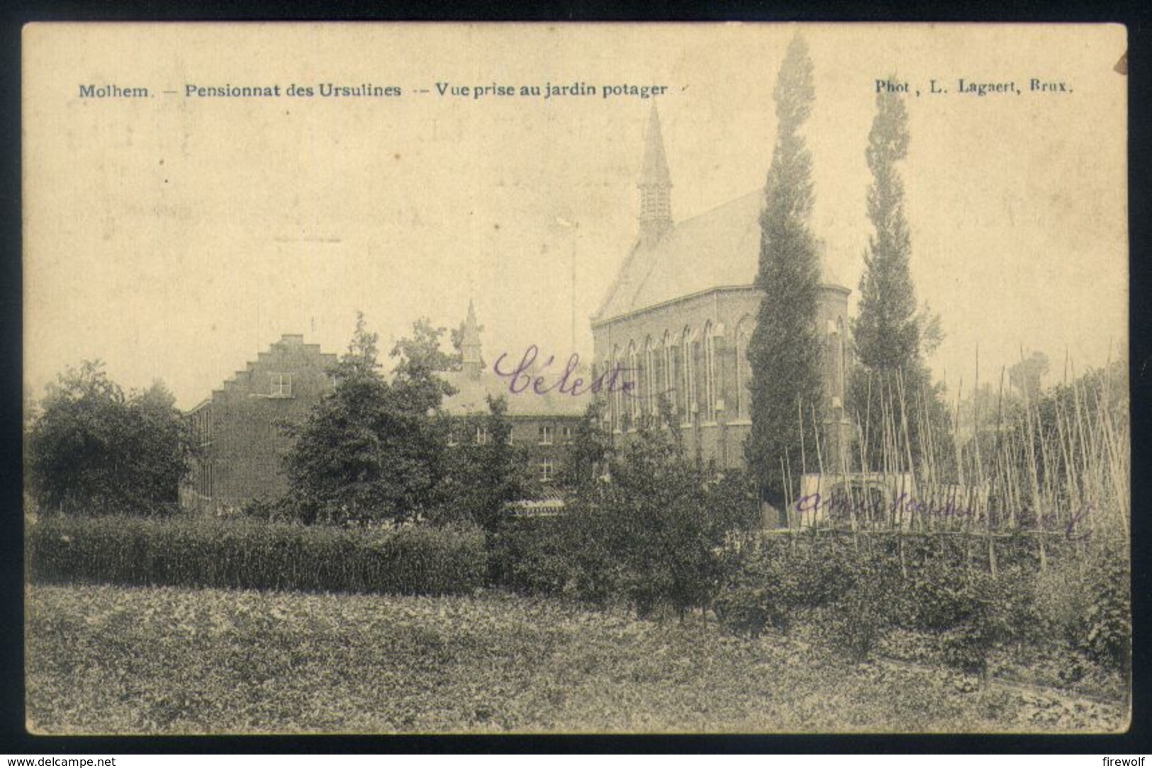 X02 - Asse Mollem / Molhem - Pensionnat Des Ursulines - Vue Prise Au Jardin Potager - Asse