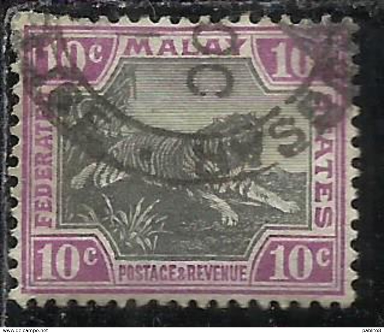 MALAYA MALAISIE MALESIA FEDERATED STATES 1901 WILD FAUNA TIGER TIGRE CENT. 10c USATO USED OBLITERE' - Federation Of Malaya