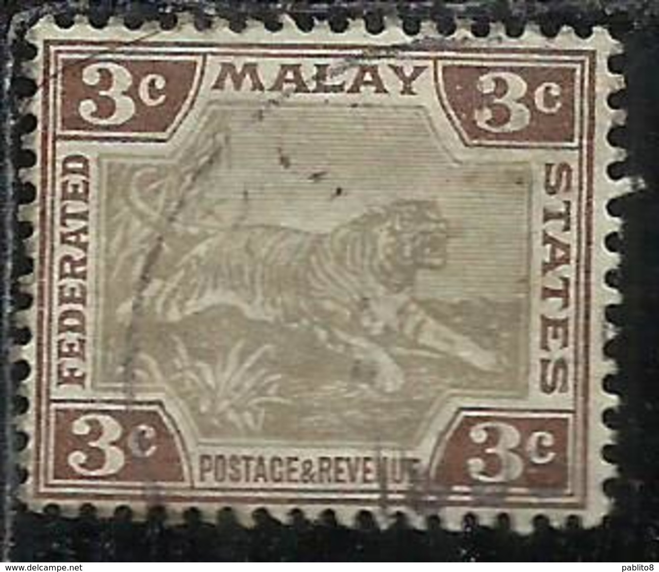 MALAYA MALAISIE MALESIA FEDERATED STATES 1901 1910 WILD FAUNA TIGER TIGRE CENT. 3c USATO USED OBLITERE' - Federation Of Malaya