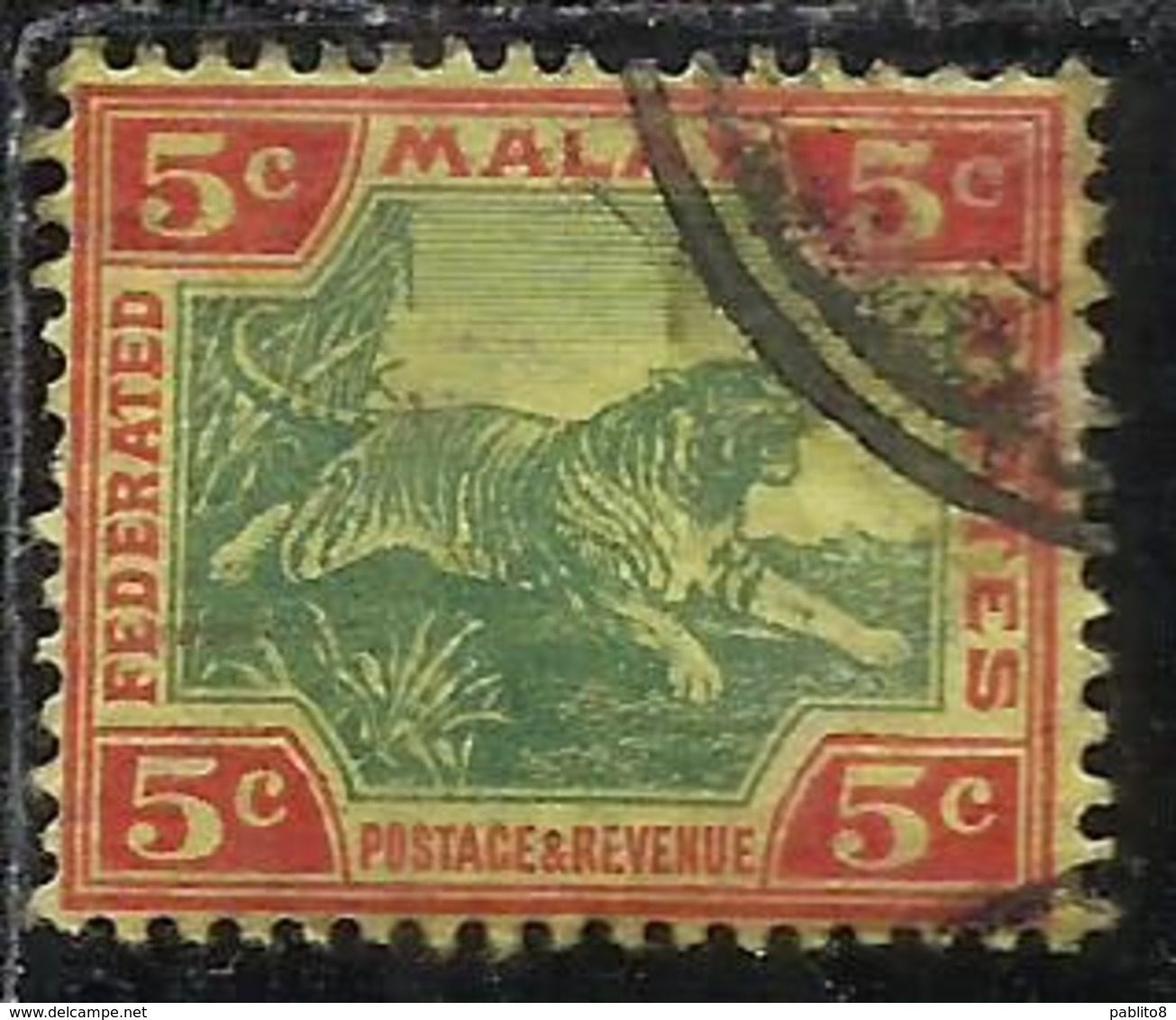 MALAYA MALAISIE MALESIA FEDERATED STATES 1901 1910 WILD FAUNA TIGER TIGRE CENT. 5c USATO USED OBLITERE' - Fédération De Malaya