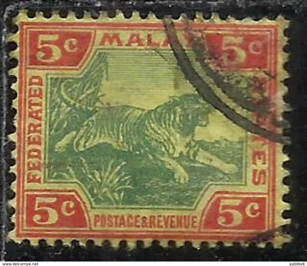 MALAYA MALAISIE MALESIA FEDERATED STATES 1901 1910 WILD FAUNA TIGER TIGRE CENT. 5c USATO USED OBLITERE' - Federation Of Malaya