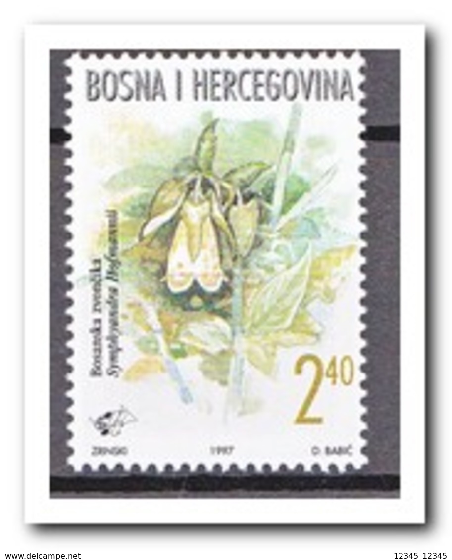 BosnIë Herzegovina 1997, Postfris MNH, Flowers - Bosnië En Herzegovina