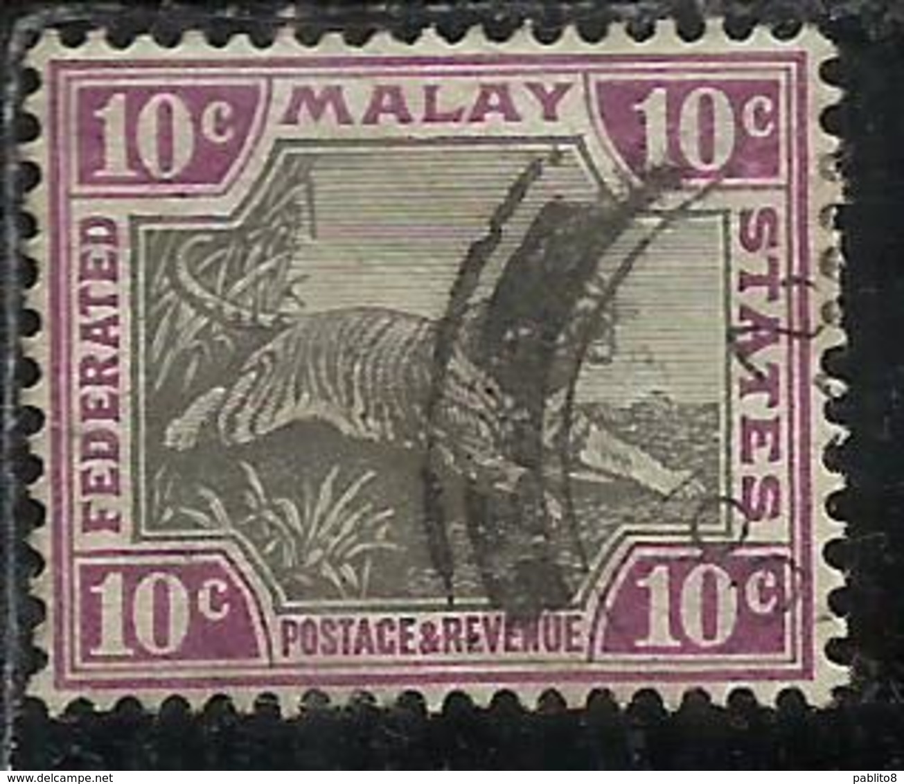 MALAYA MALAISIE MALESIA FEDERATED STATES 1901 WILD FAUNA TIGER TIGRE CENT. 10c USATO USED OBLITERE' - Federation Of Malaya