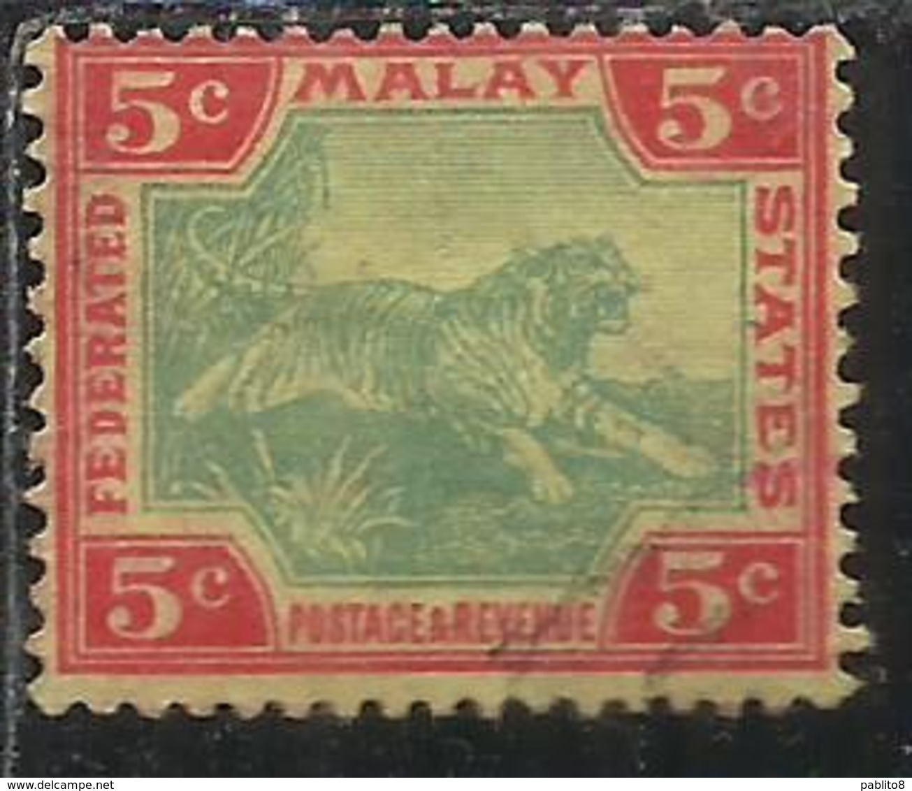 MALAYA MALAISIE MALESIA FEDERATED STATES 1901 1910 WILD FAUNA TIGER TIGRE CENT. 5c USATO USED OBLITERE' - Fédération De Malaya