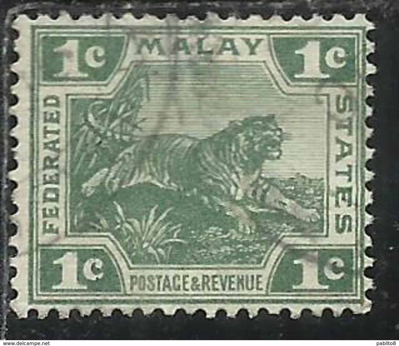 MALAYA MALAISIE MALESIA FEDERATED STATES 1906 1922 WILD FAUNA TIGER TIGRE CENT. 1c USATO USED OBLITERE' - Federation Of Malaya