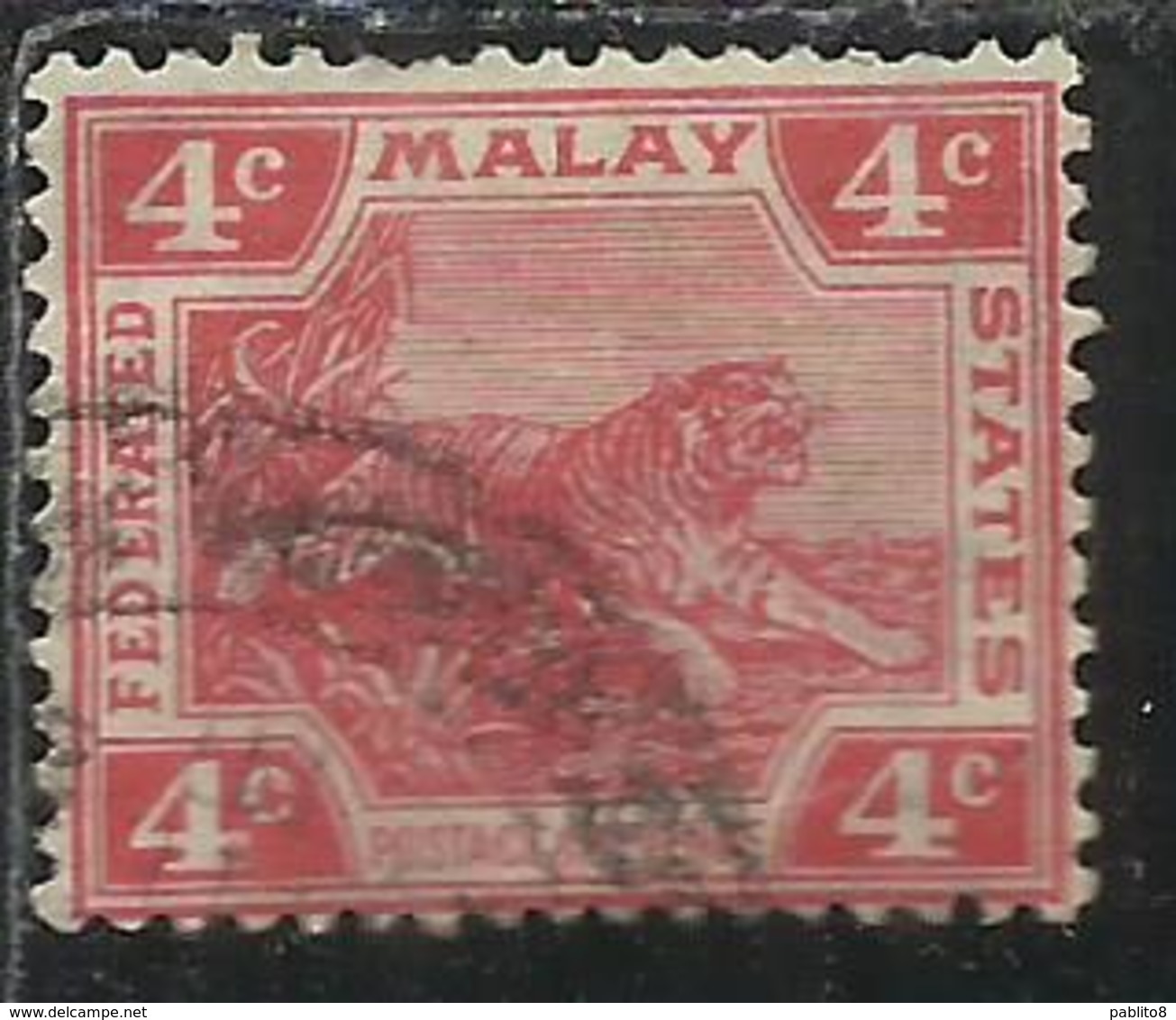 MALAYA MALAISIE MALESIA FEDERATED STATES 1906 1922 WILD FAUNA TIGER TIGRE CENT. 4c USATO USED OBLITERE' - Fédération De Malaya