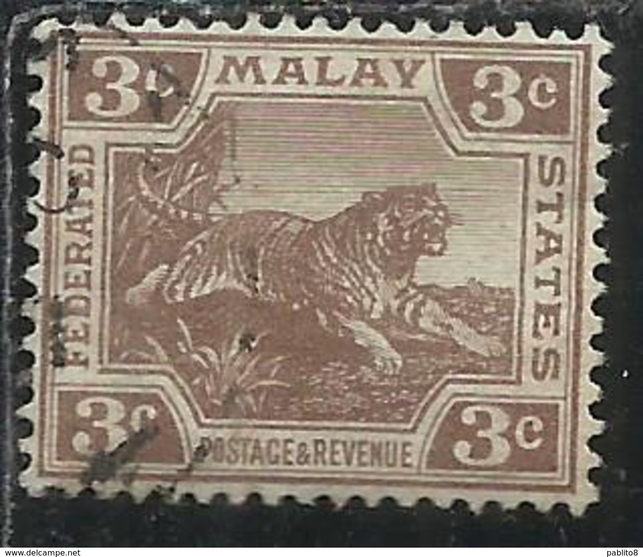 MALAYA MALAISIE MALESIA FEDERATED STATES 1906 1922 WILD FAUNA TIGER TIGRE CENT. 3c USATO USED OBLITERE' - Fédération De Malaya