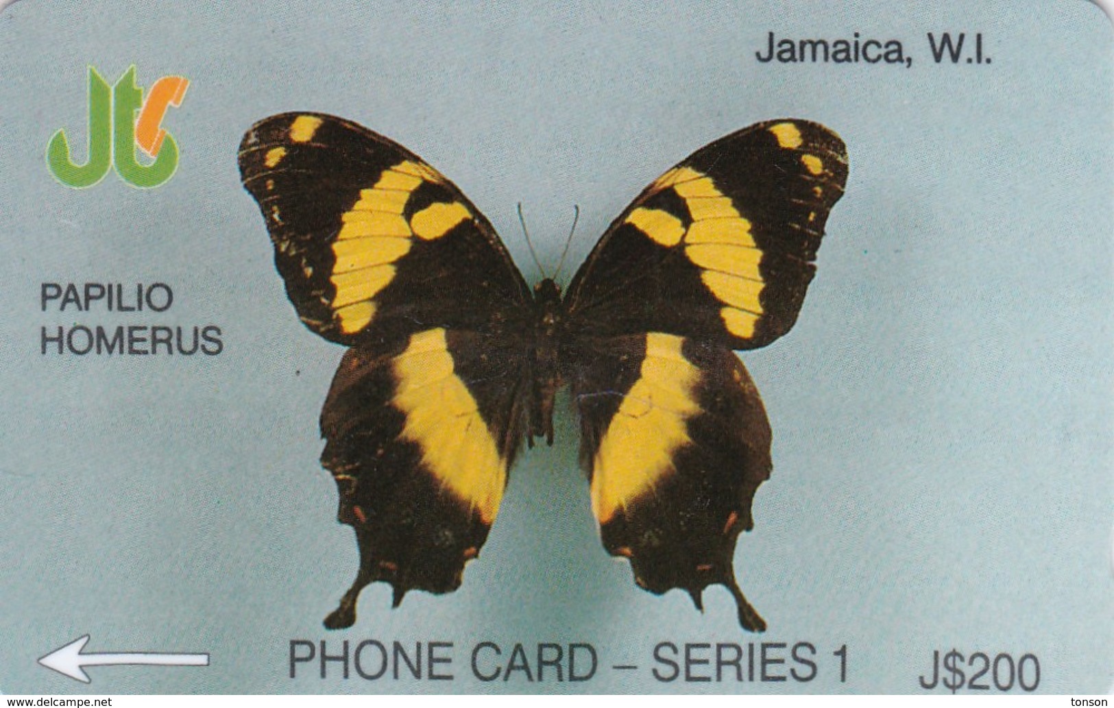 Jamaica, JAM-1F, Papilio Homerus, 2 Scans.   1JAMF  BSt - Jamaïque