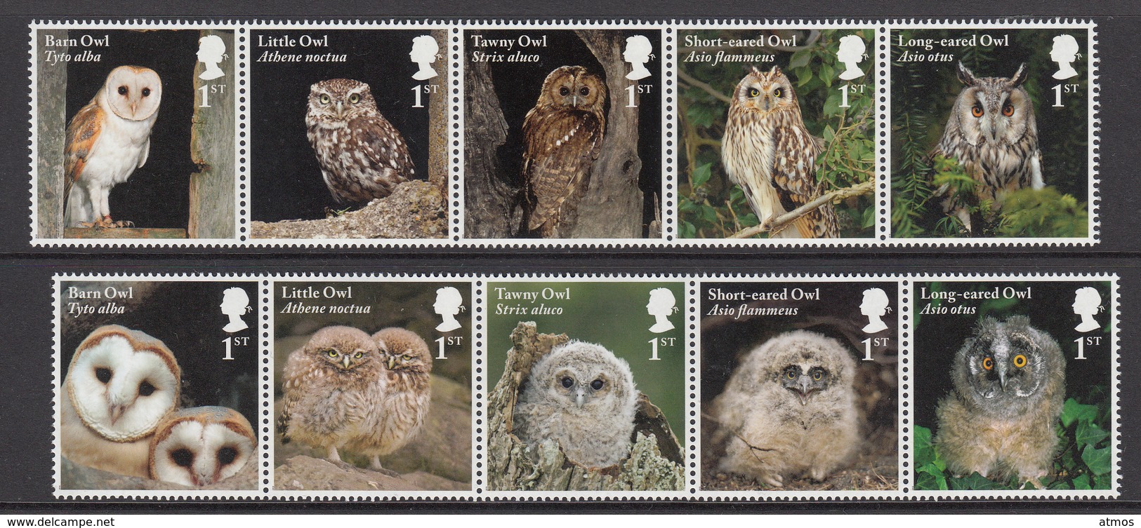 Great Britain MNH 2018 Owls - Unused Stamps