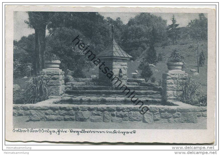 Bad Sulza - Vogelbrunnen Im Kurpark - Verlag Walter Frauendorff Bad Sulza Gel. 1944 - Bad Sulza