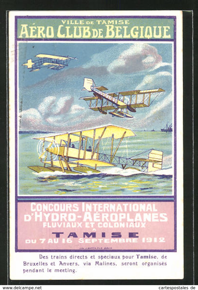 AK Tamise, Ville De Tamise, Aéro Club De Belgique, Wasserflugzeuge Im Flug Und In Der Landung - Other & Unclassified