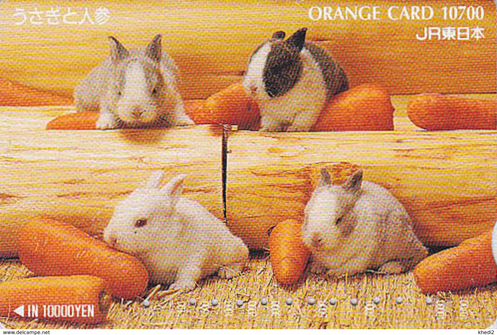 Carte Orange JAPON - ANIMAL - LAPIN Lapins Carotte - RABBIT JAPAN Prepaid JR Card - KANINCHEN -  238 - Lapins