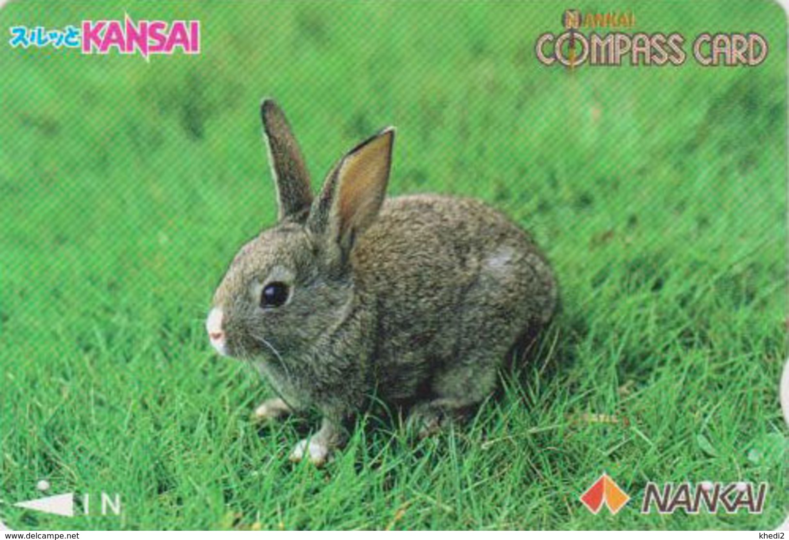 Rare Carte Japon -  ANIMAL - LAPIN - RABBIT Japan Prepaid Nankai Card - KANINCHEN - CONIGLIO - CONEJO - 244 - Conigli