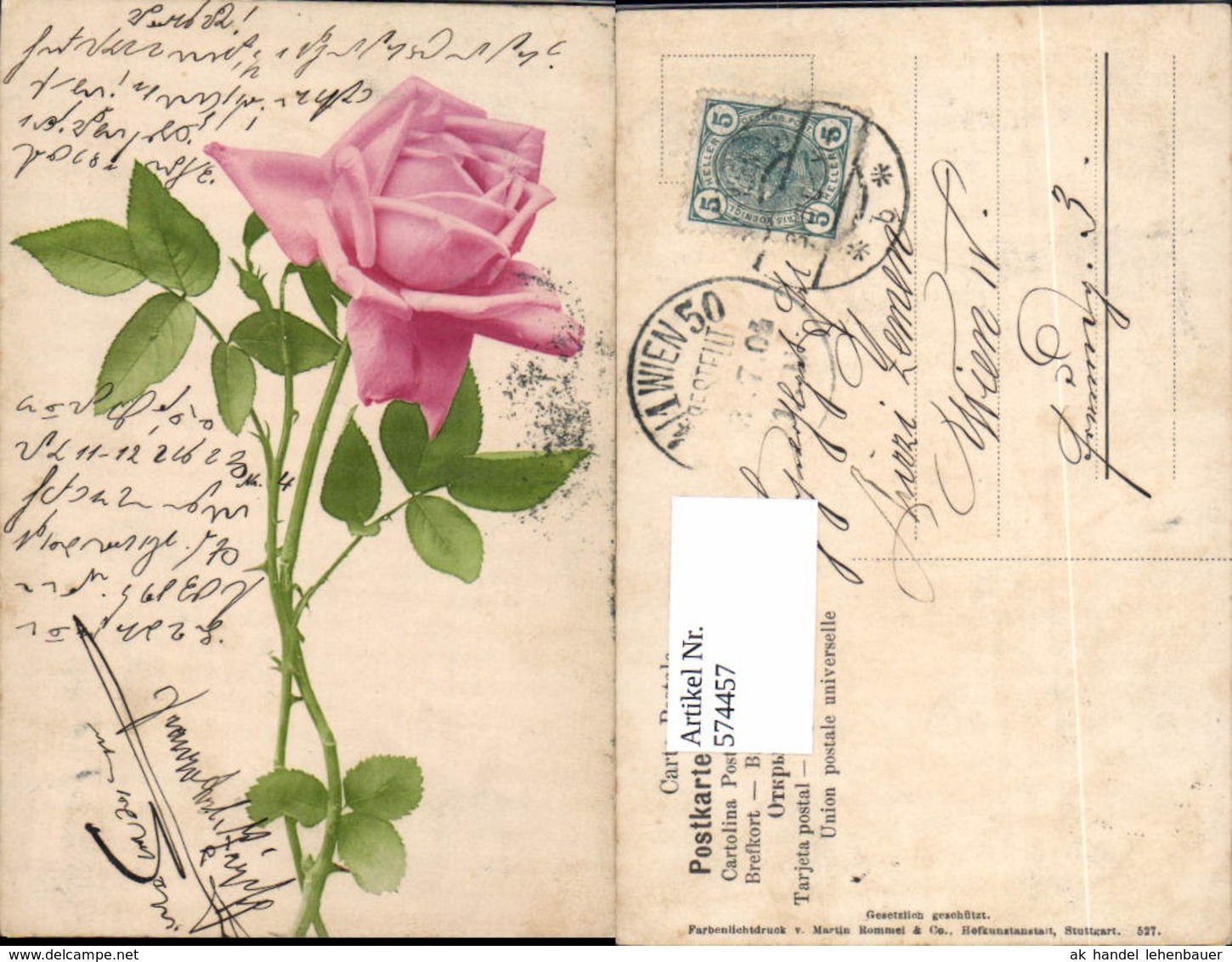 574457,Blumen Botanik Rose Pub Martin Rommel &amp; Co. 527 - Sonstige & Ohne Zuordnung