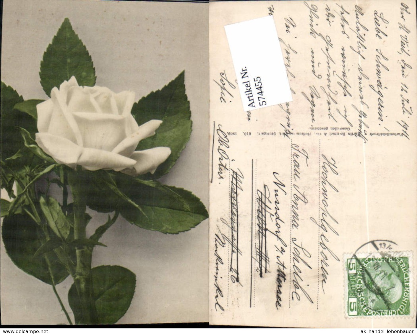 574455,Blumen Botanik Rose Pub Martin Rommel &amp; Co. 610 - Sonstige & Ohne Zuordnung