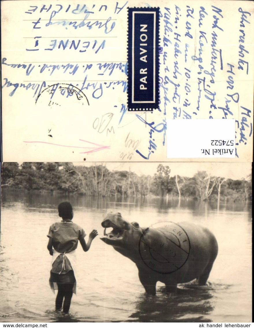 574522,Foto-AK Tiere Afrika Africa Nilpferd Schwarzes Kind Kongo - Sonstige & Ohne Zuordnung
