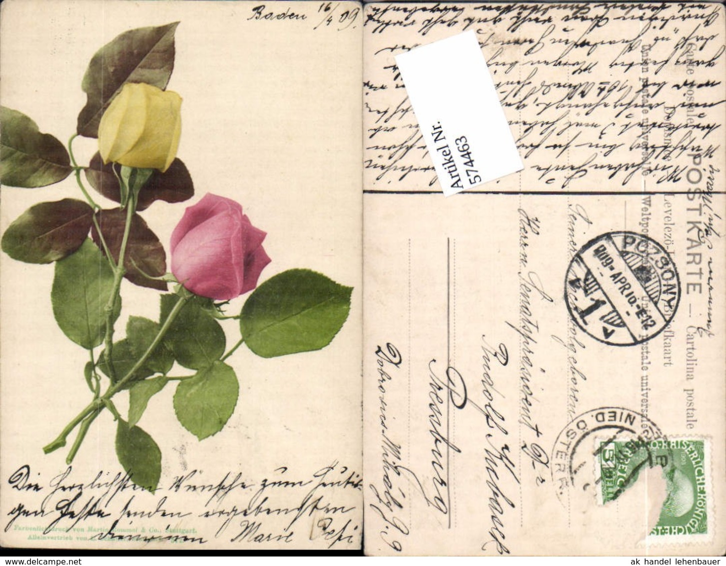 574463,Blumen Botanik Rosen Pub Martin Rommel &amp; Co. 542 - Sonstige & Ohne Zuordnung