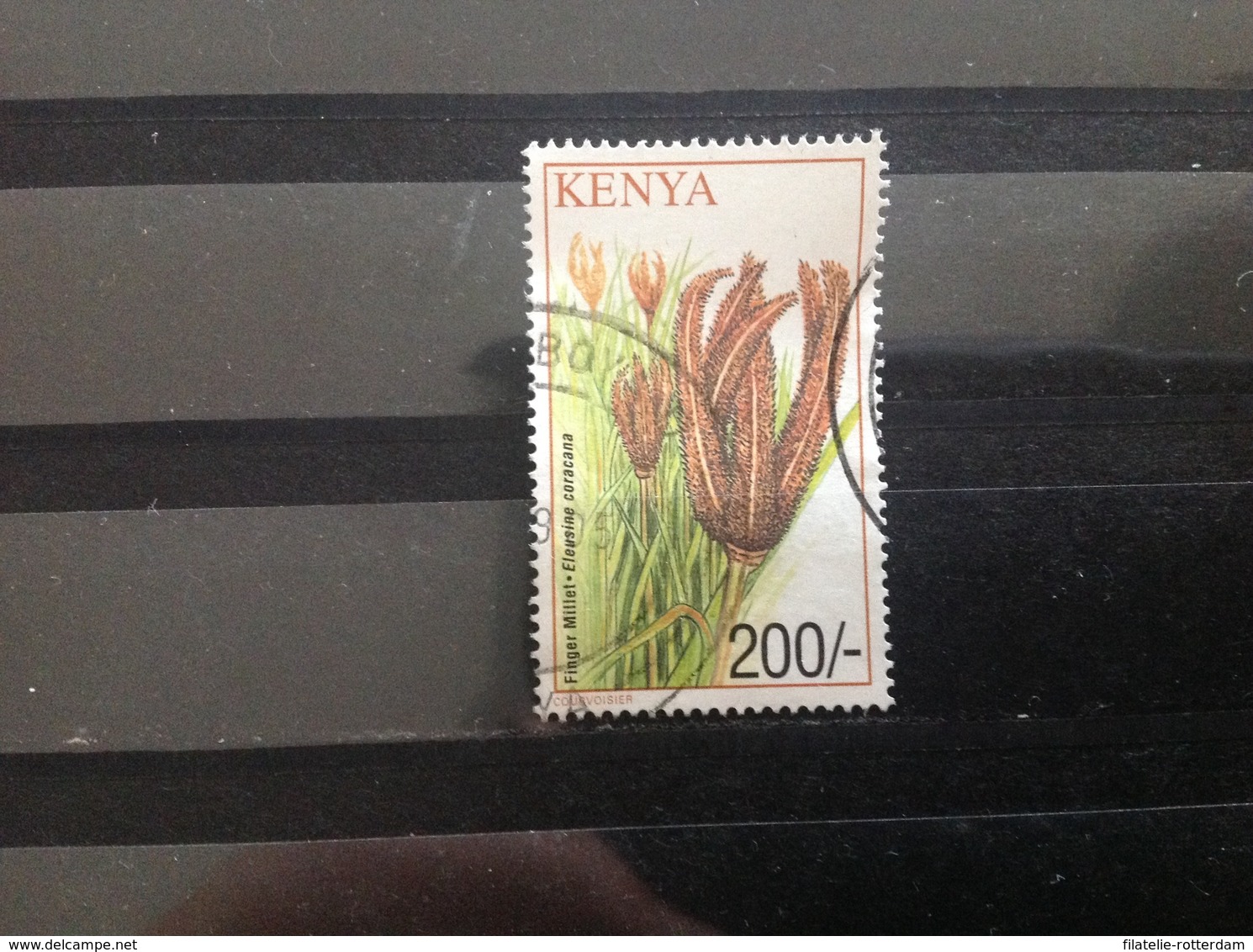 Kenia / Kenya - Gewassen (200) 2001 - Kenia (1963-...)
