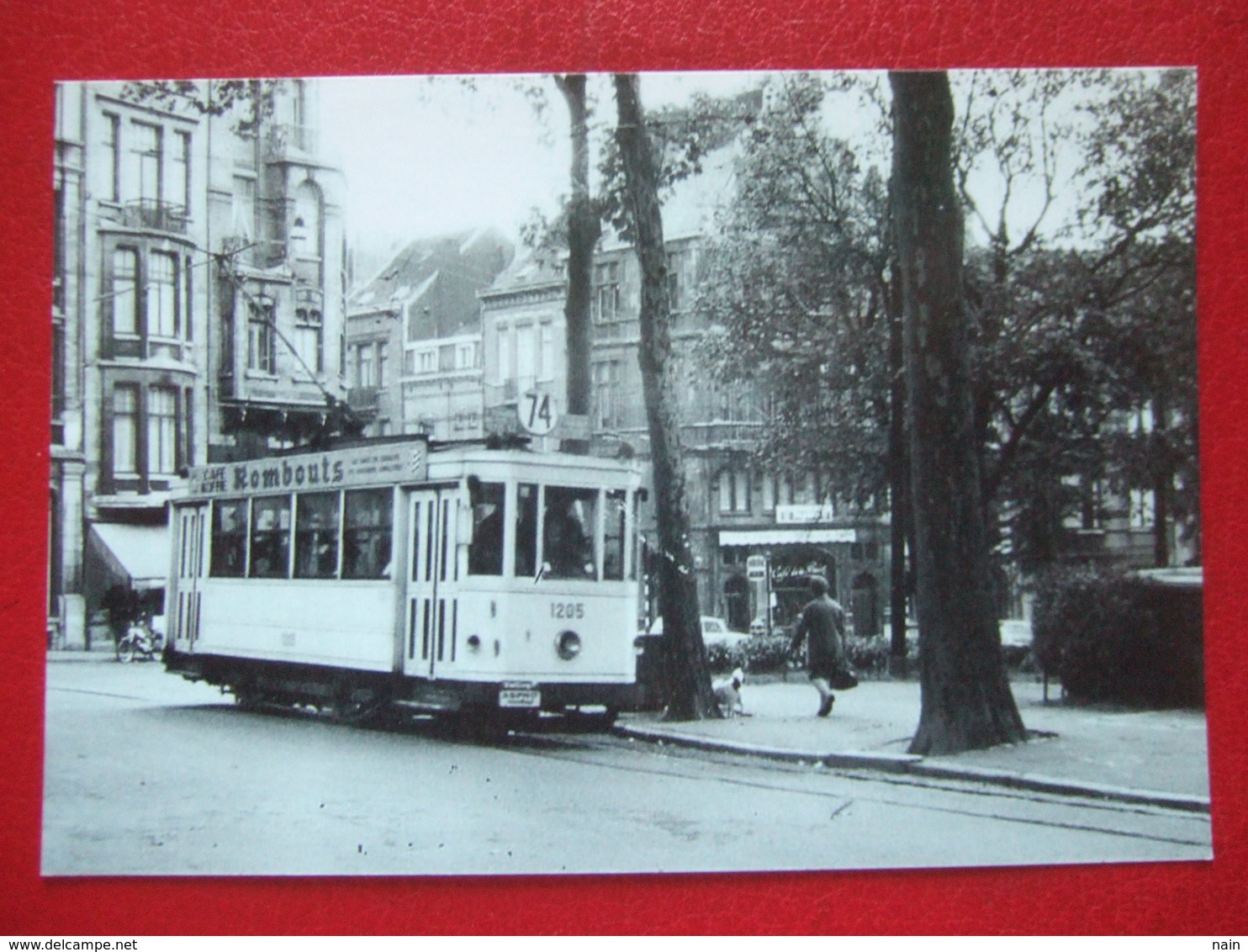 BELGIQUE - BRUXELLES - PHOTO 15 X 10 - TRAM - TRAMWAY - LIGNE 74 - - Public Transport (surface)