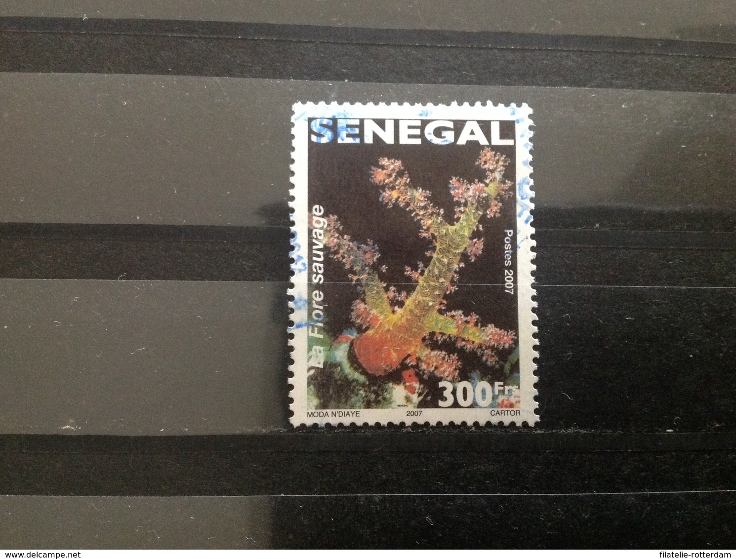 Senegal - Bloemen (300) 2007 - Senegal (1960-...)