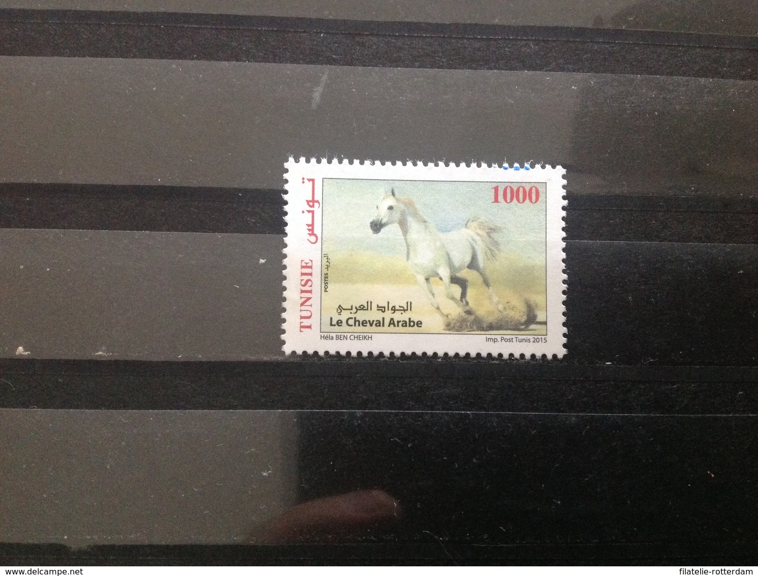 Tunesië / Tunisia - Paarden (1000) 2015 - Tunesië (1956-...)