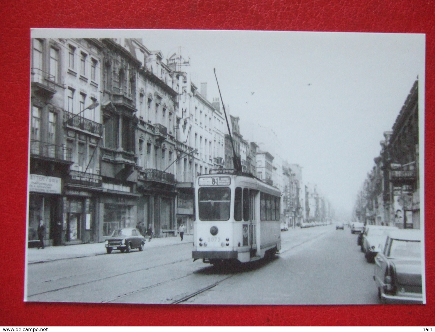 BELGIQUE - BRUXELLES - PHOTO 15 X 10 - TRAM - TRAMWAY - LIGNE 81 - BD LEMONNIER - - Transporte Público