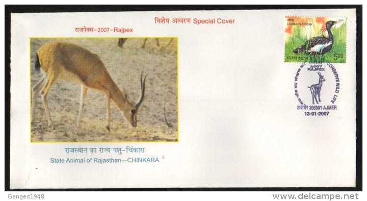 India  2007  Chinkara Deer  Ajmer  Special Cover.  # 68210  Inde Indien - Game