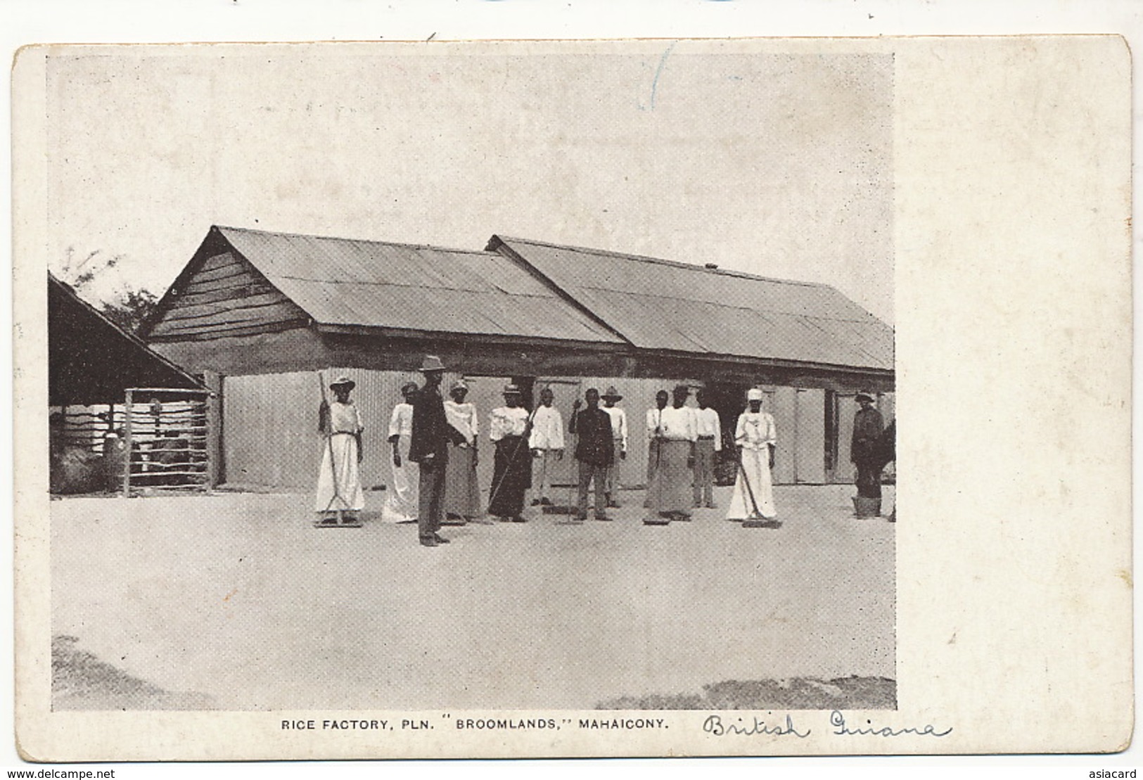 British Guiana Guyana Rice Factory  " Broomlands " Mahaicony The Daily Chronicle Post Card Demerara - Autres & Non Classés