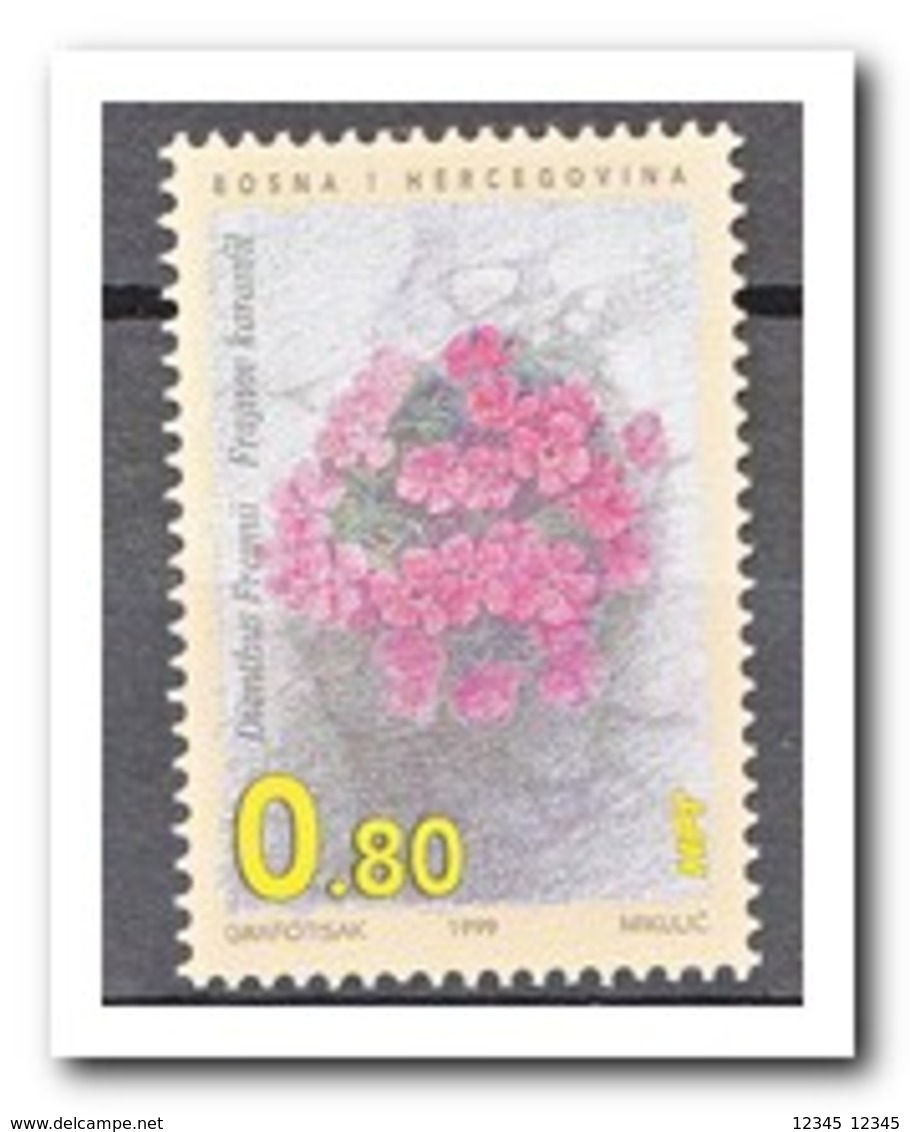 Bosnië & Herzegovina 1999, Postfris MNH, Plants - Bosnië En Herzegovina