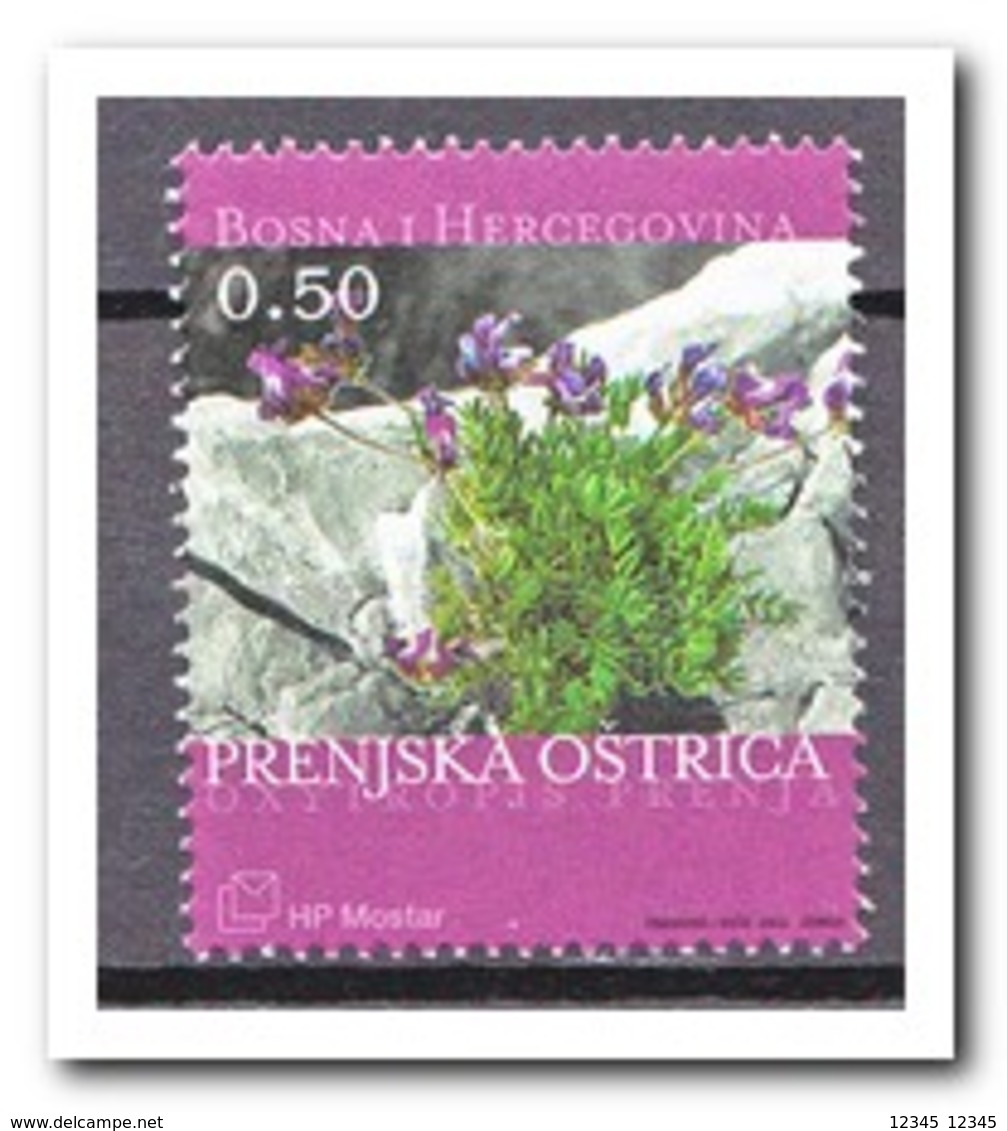 Bosnië & Herzegovina 2003, Postfris MNH, Plants - Bosnië En Herzegovina