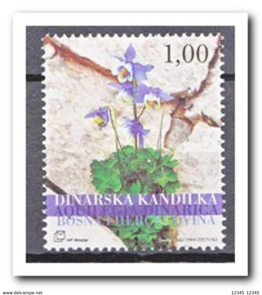 Bosnië & Herzegovina 2004, Postfris MNH, Plants, Flowers - Bosnië En Herzegovina