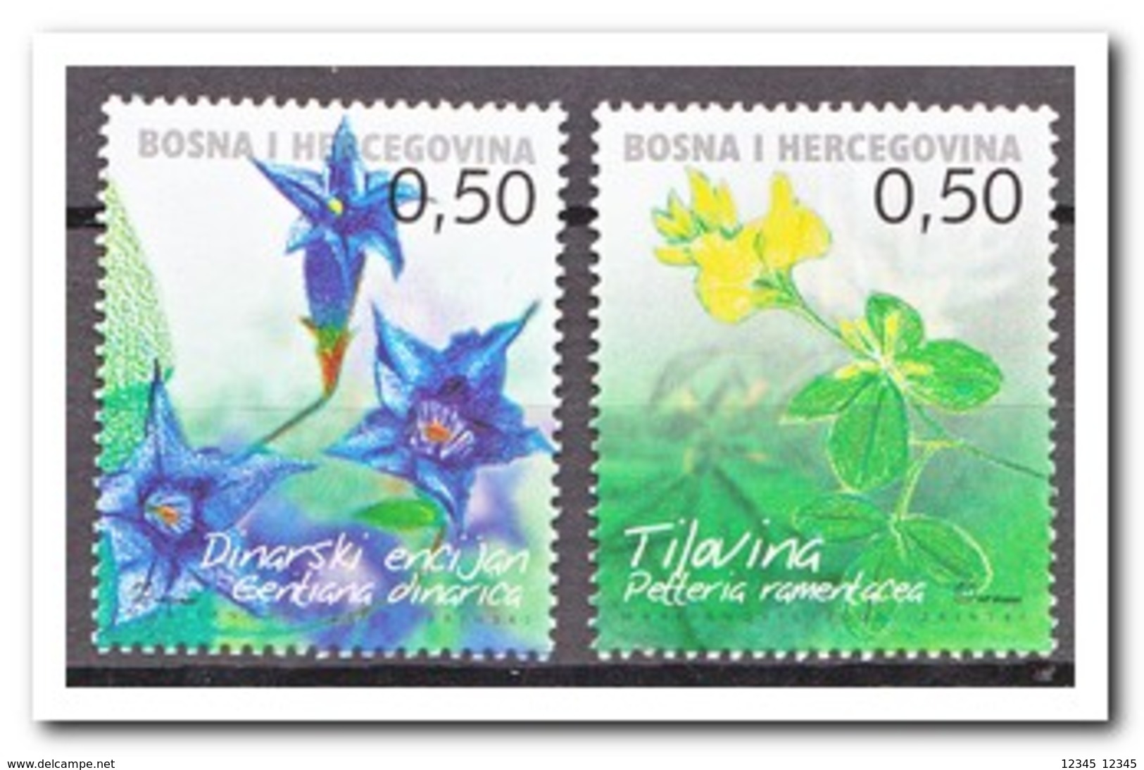 Bosnië & Herzegovina 2005, Postfris MNH, Plants, Flowers - Bosnië En Herzegovina