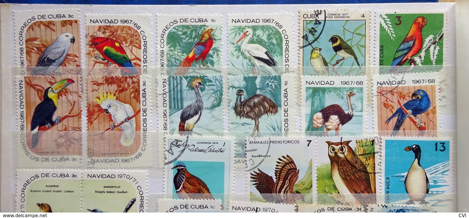 Cuba early to modern in Stockbook, Revenues, Airmail, Animals, Sports, Birds, Flowers, Butterflies, Trains, Thematic.