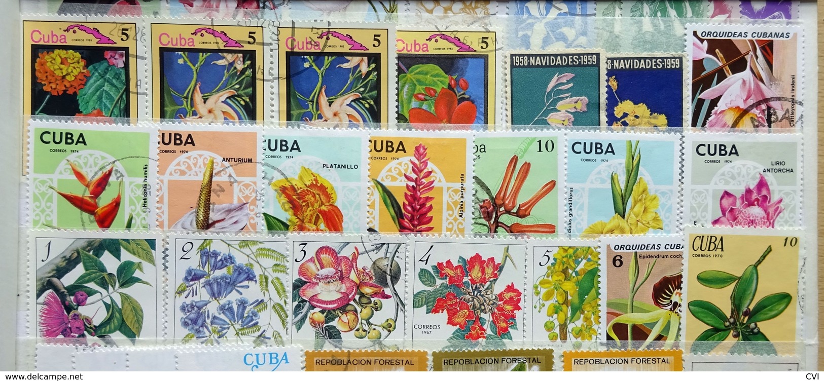 Cuba early to modern in Stockbook, Revenues, Airmail, Animals, Sports, Birds, Flowers, Butterflies, Trains, Thematic.
