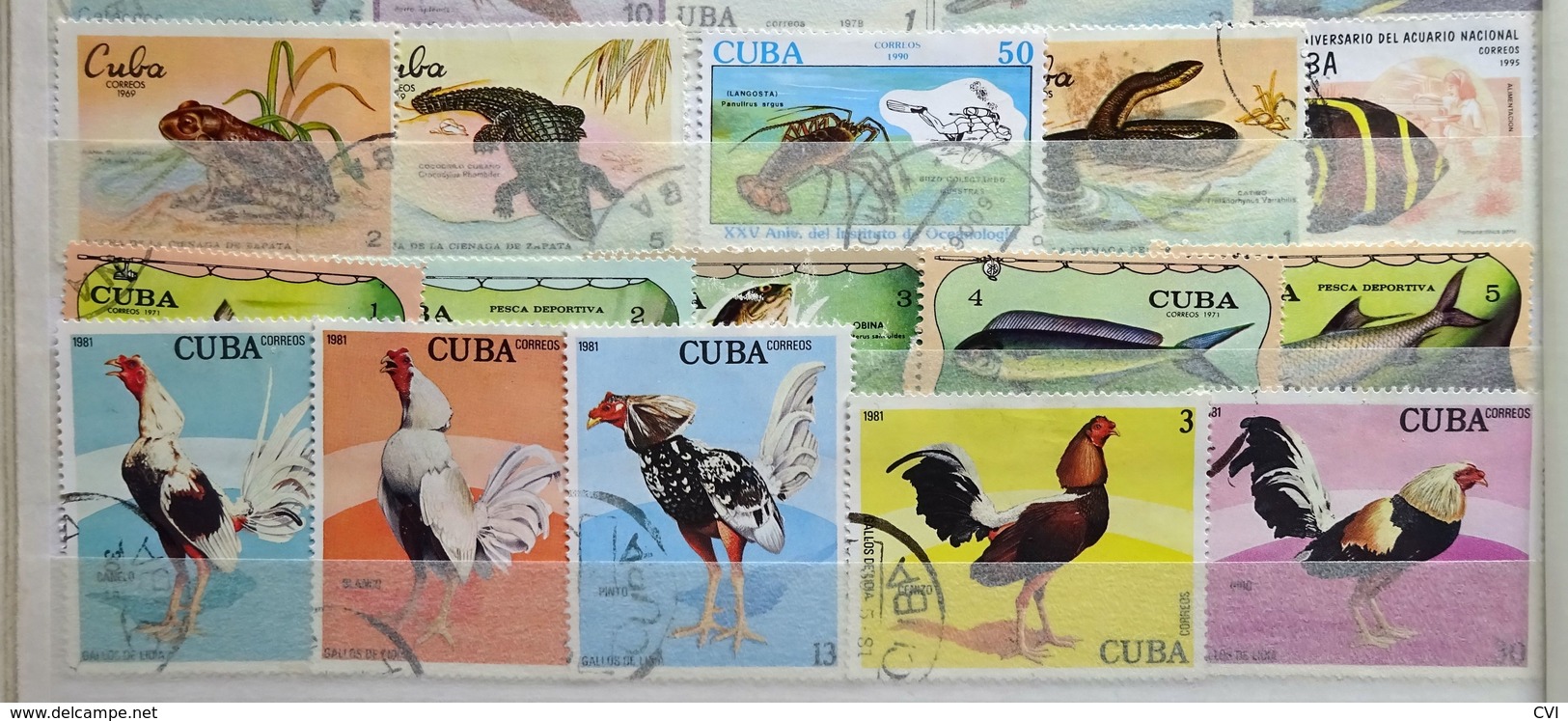 Cuba early to modern in Stockbook, Revenues, Airmail, Animals, Sports, Birds, Flowers, Butterflies, Trains, Thematic.