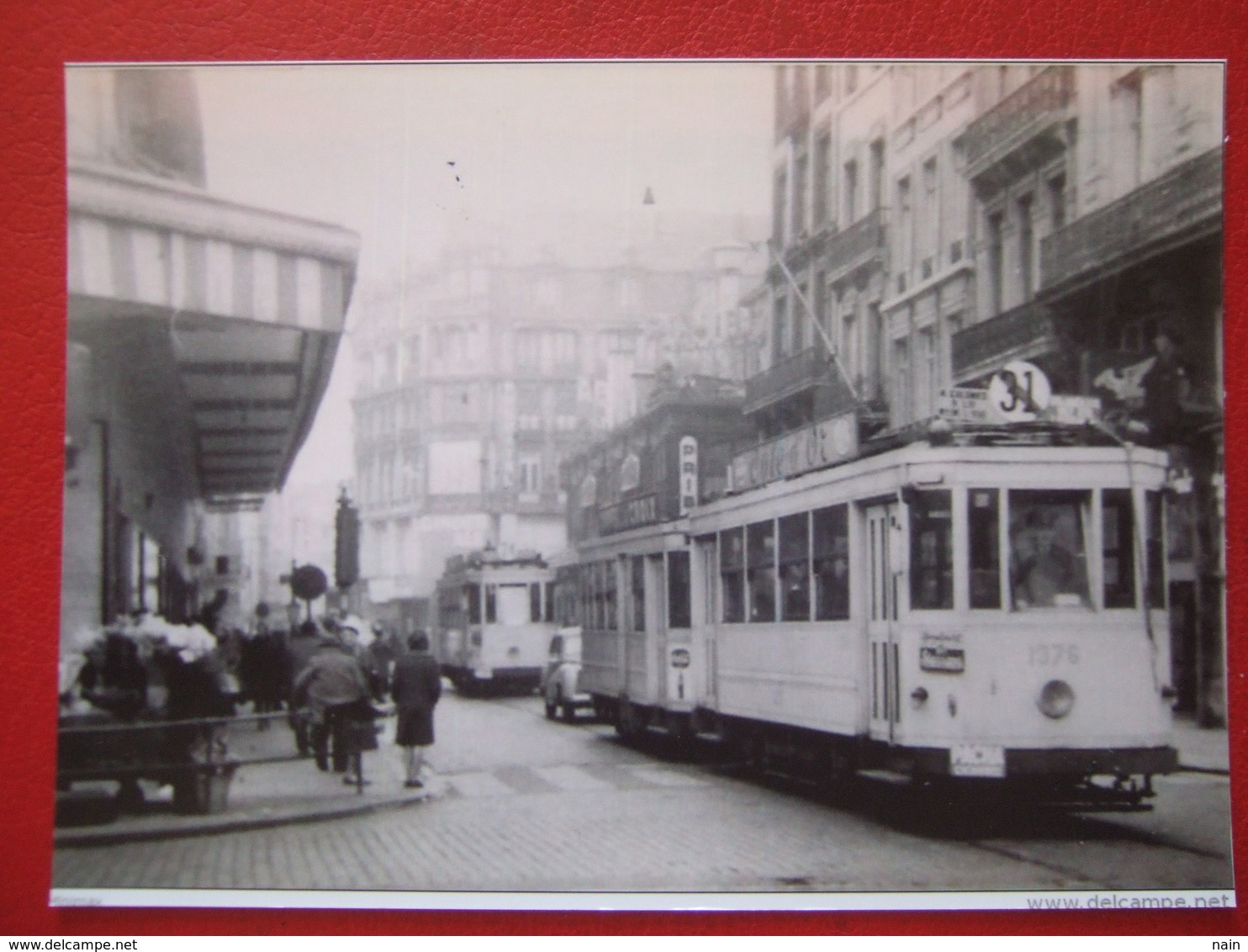 BELGIQUE - BRUXELLES - PHOTO 14.5 X 9.8 - TRAM - TRAMWAY  -  LIGNE  31 - - Public Transport (surface)