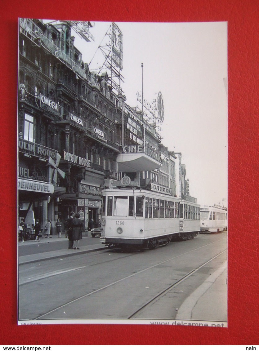 BELGIQUE - BRUXELLES - PHOTO 13.5 X 9.8 - TRAM - TRAMWAY - BUS -  LIGNE  83 - CINE OMEGA - - Nahverkehr, Oberirdisch