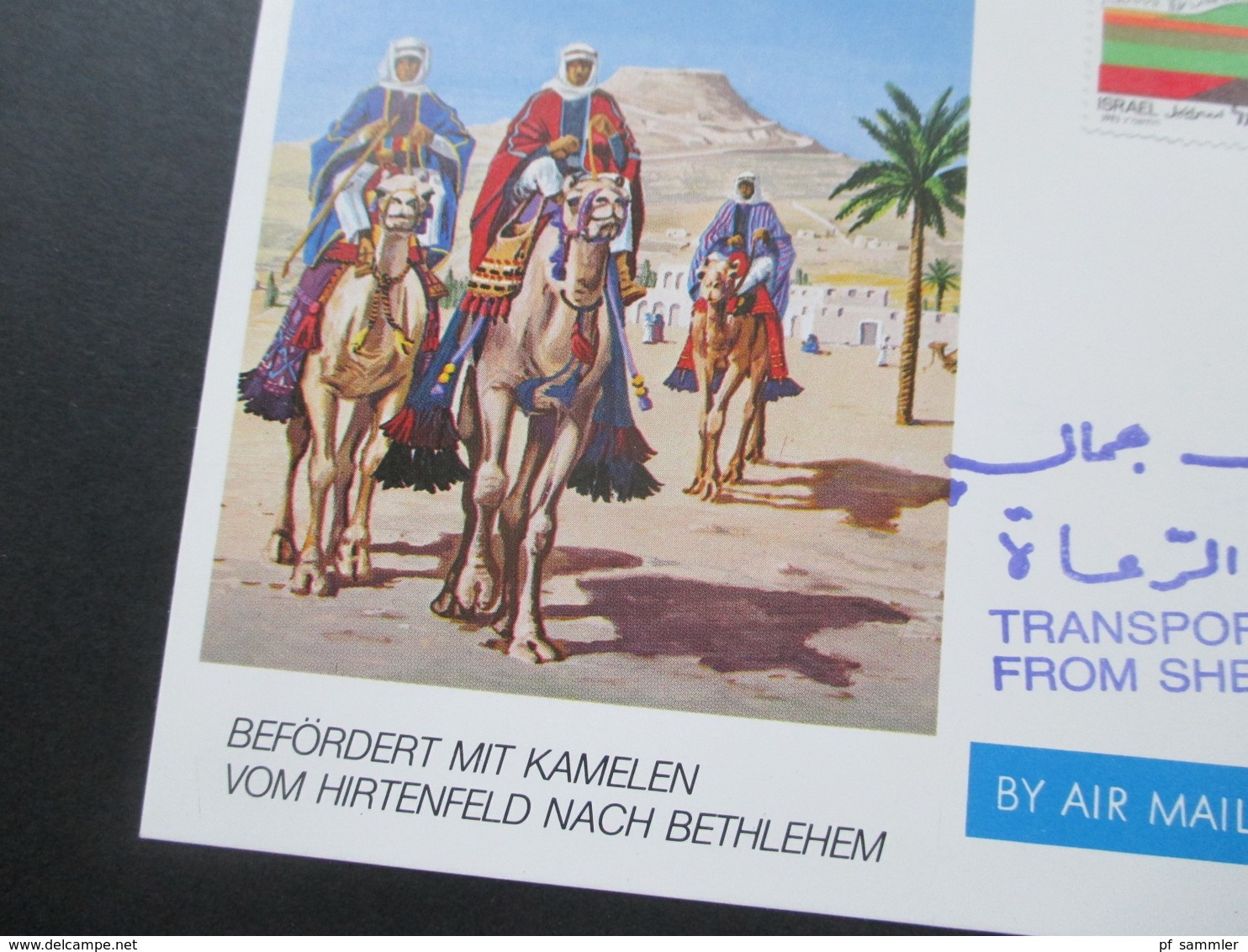 Israel 1983 AK Befördert Mit Kamelen Vom Hirtenfeld Nach Bethlehem. Transported On Camels From Shepheards Field. SoS Kin - Sonstige (Land)