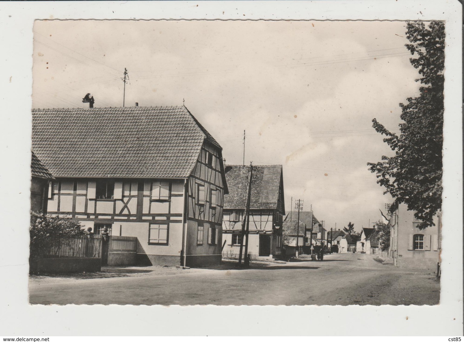 CPSM Grand Format - BLODELSHEIM - La Route Du Rhin - Autres & Non Classés