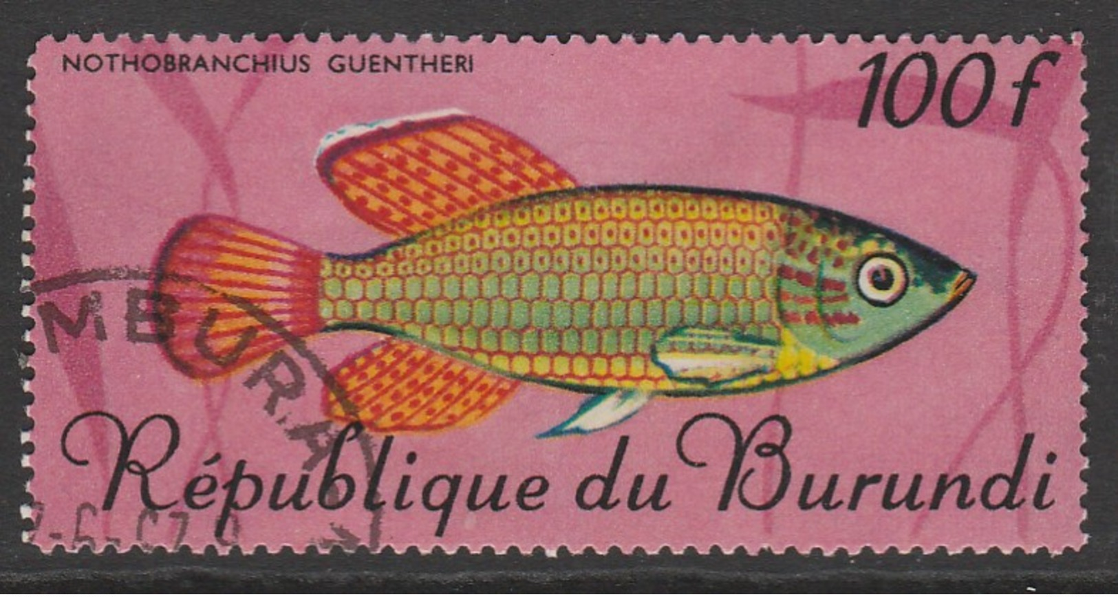 Burundi 1967 Fish 100 Fr Multicoloured SW 337 O Used - Used Stamps