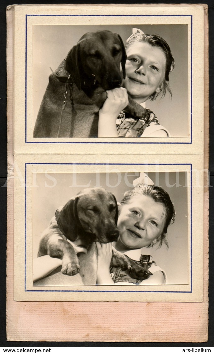 Photo Ancien / Foto / Album / 4 Scans / Fille / Girl / Dog / Chien / Photographer Slosse Et Closset / Tournai - Albums & Verzamelingen