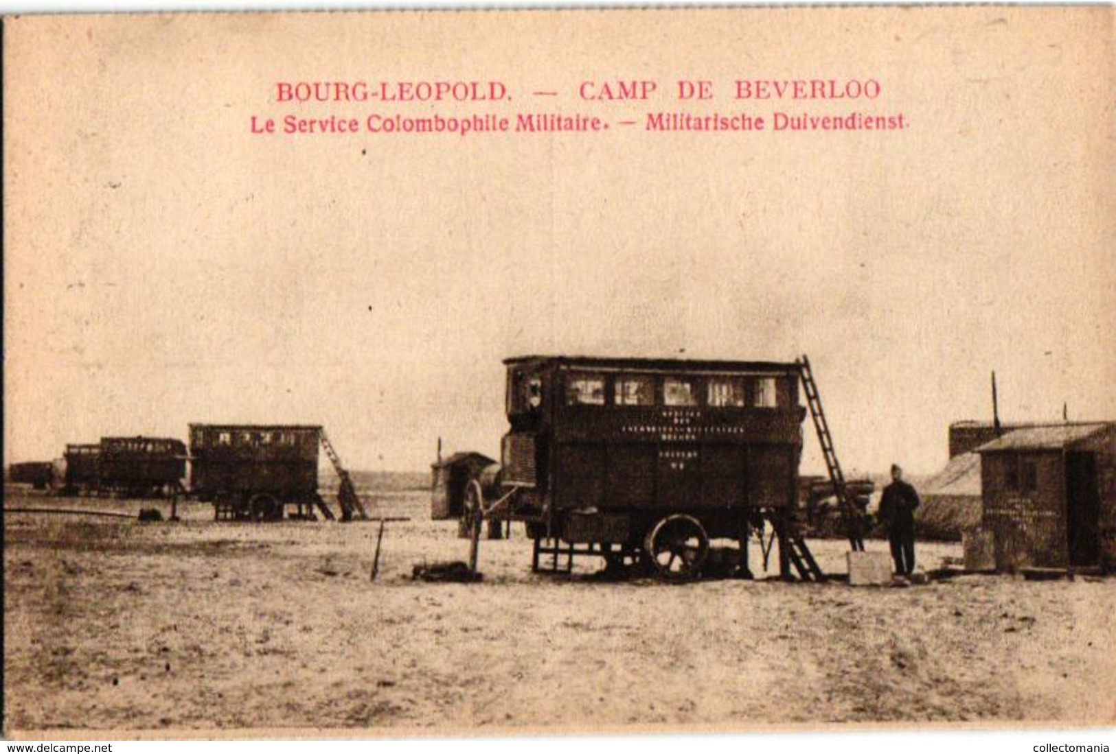 1 Postkaart Militaire Duivendienst  Service Colombophile Militaire - Leopoldsburg (Kamp Van Beverloo)