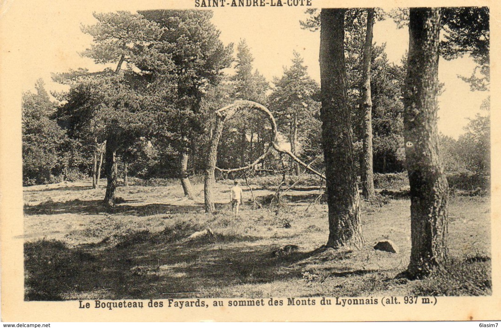 CPA - SAINT-ANDRE-la-COTE (69) - Thème : Arbre - Aspect Du Boqueteau Des Hêtres FAYARDS En 1943 - Saint-André-la-Côte