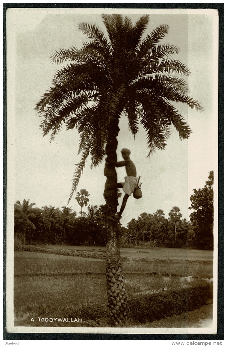 RB 1220 - Real Photo Ethnic Postcard - A Toddywallah - Ceylon - Sri Lanka - Sri Lanka (Ceylon)