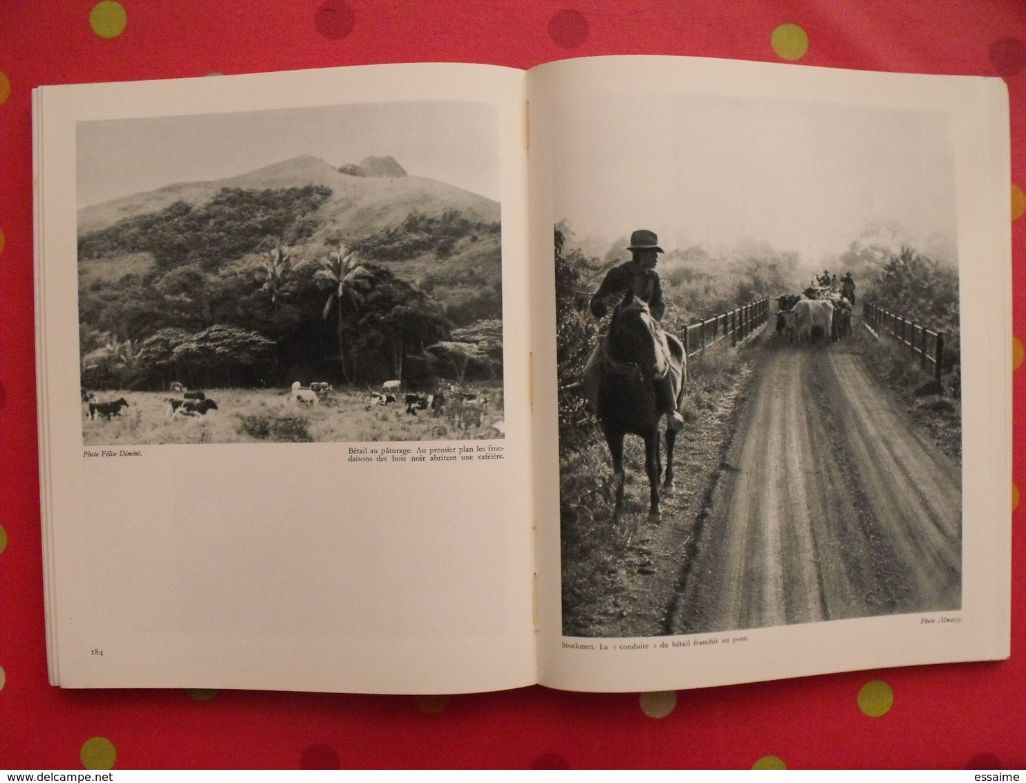 nouvelle calédonie centenaire 1853-1953. jean mariotti. horizons de france 1953. nouméa. nombreuses photos