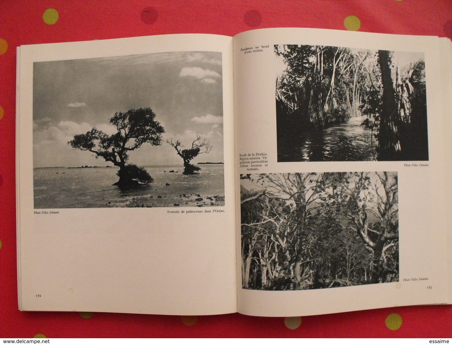 nouvelle calédonie centenaire 1853-1953. jean mariotti. horizons de france 1953. nouméa. nombreuses photos