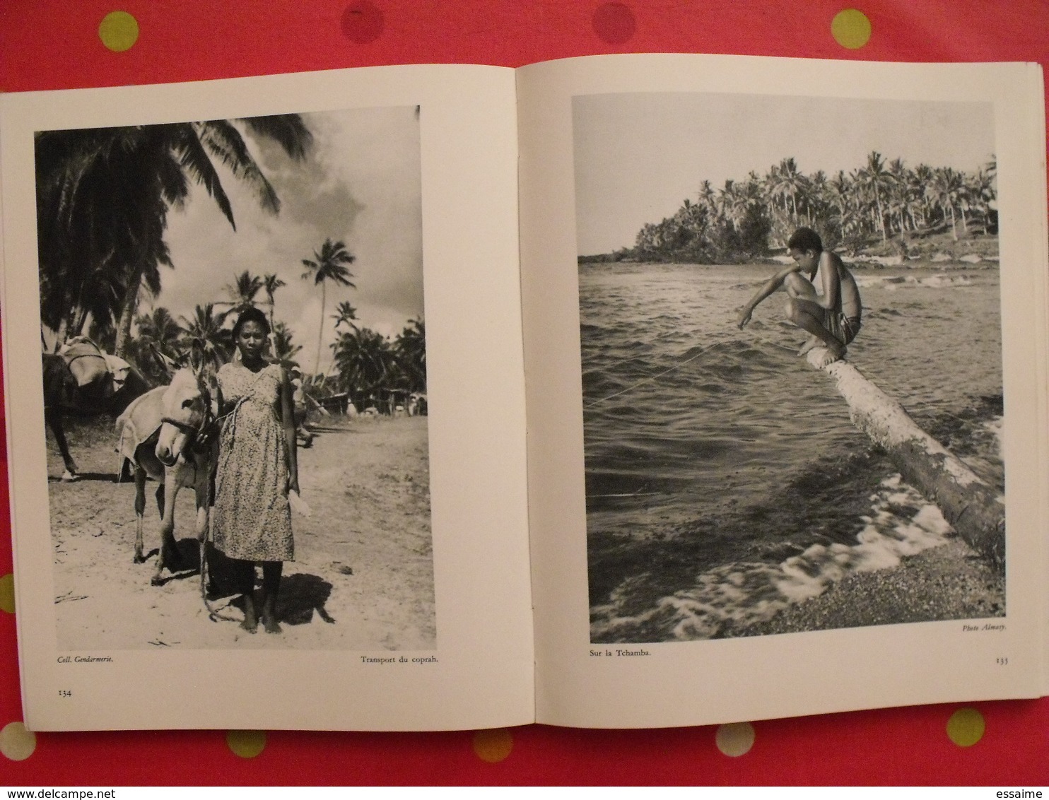 nouvelle calédonie centenaire 1853-1953. jean mariotti. horizons de france 1953. nouméa. nombreuses photos